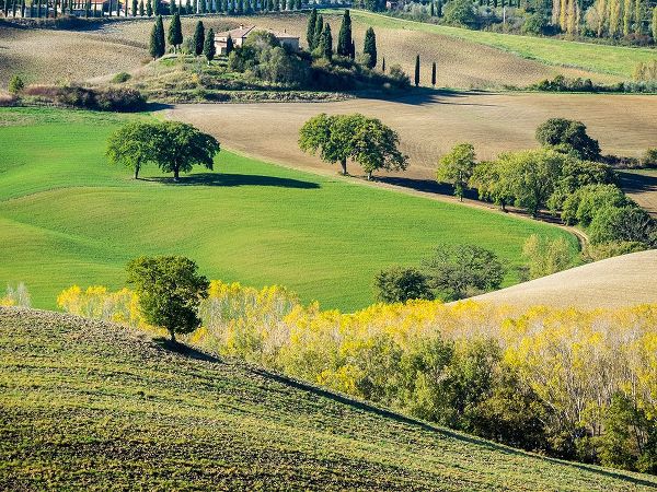 Eggers, Julie 아티스트의 Italy-Tuscany Tuscan landscape작품입니다.